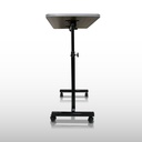 Mesa Puente Hospitalaria Manual